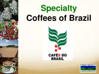 Specialty Coffees of Brazil