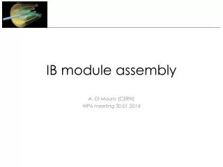 IB module assembly