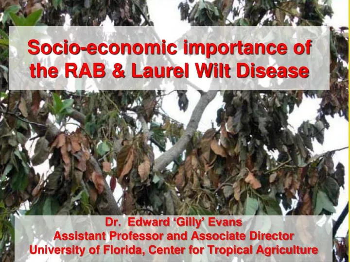 socio economic importance of the rab laurel wilt disease