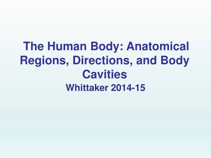 the human body anatomical regions directions and body cavities
