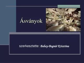 sv nyok