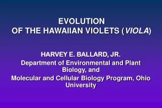 EVOLUTION OF THE HAWAIIAN VIOLETS ( VIOLA )