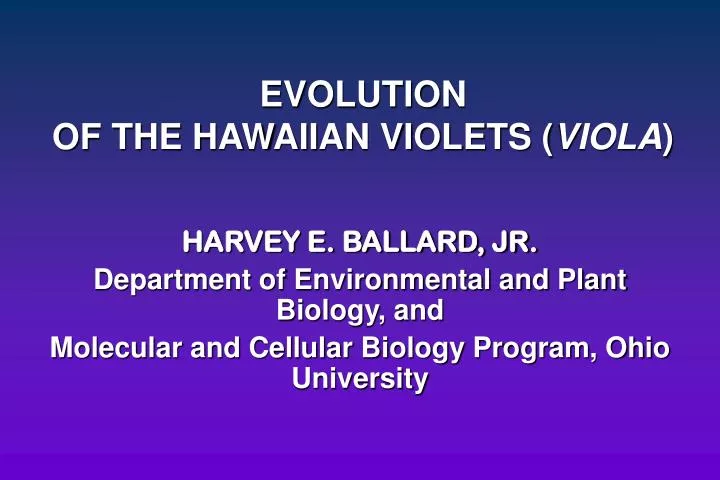 evolution of the hawaiian violets viola