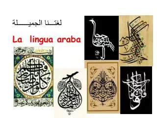 La lingua araba