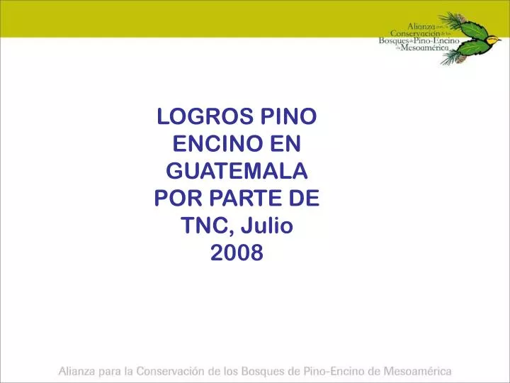 logros pino encino en guatemala por parte de tnc julio 2008