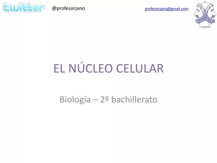 el n cleo celular