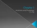 Understanding Anatomy and Physiology: The Human Body's Structure and Function - slide 1