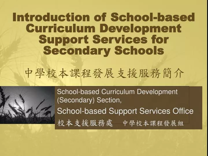 introduction of school based curriculum development support services for secondary schools