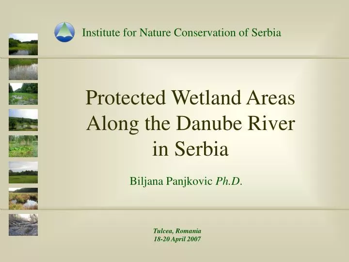 protected wetland areas along the danube river in serbia