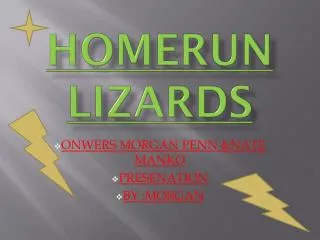 HOMERUN LIZARDS