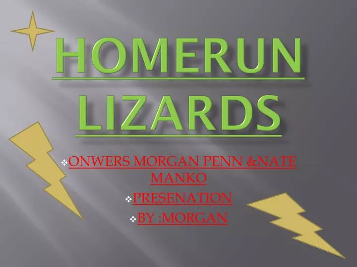 homerun lizards