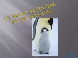 My Great Adventure to the Aquarium