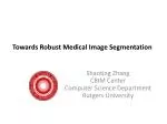 Towards Robust Medical Image Segmentation - slide 1