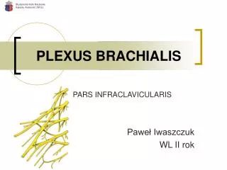 PLEXUS BRACHIALIS