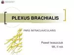 PLEXUS BRACHIALIS - slide 1