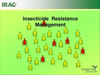 Insecticide Resistance Management