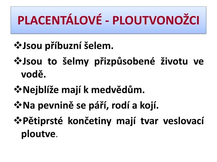 placent lov ploutvono ci