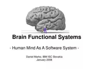 Brain Functional Systems