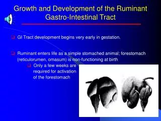 Growth and Development of the Ruminant Gastro-Intestinal Tract