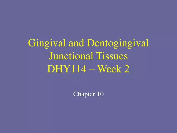 gingival and dentogingival junctional tissues dhy114 week 2