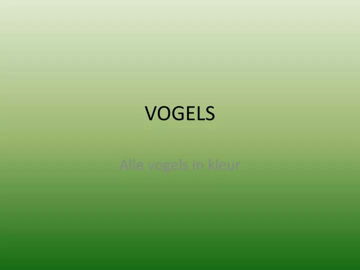 vogels