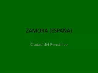 zamora espa a