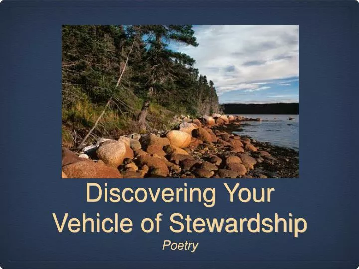 discovering your vehicle of stewardship