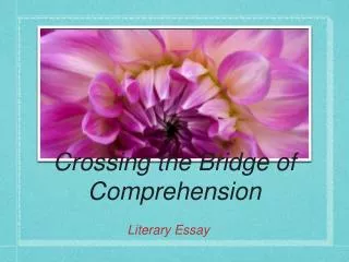 Crossing the Bridge of Comprehension