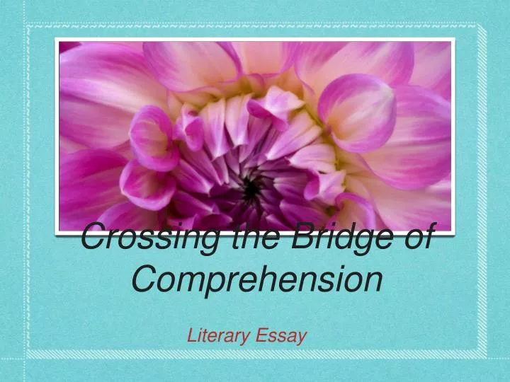 crossing the bridge of comprehension