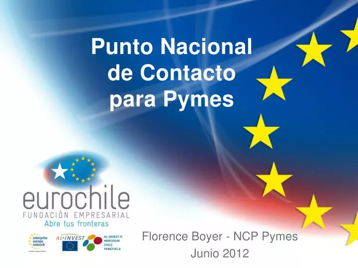 punto nacional de contacto para pymes