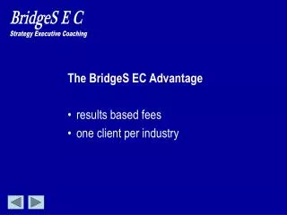 The BridgeS EC Advantage results based fees one client per industry