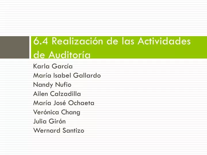 6 4 realizaci n de las actividades de auditor a