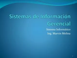 Sistemas de Información Gerencial