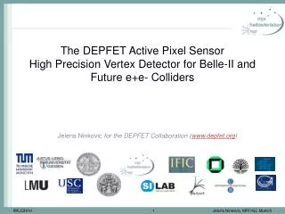 Jelena Ninkovic for the DEPFET Collaboration ( depfet )