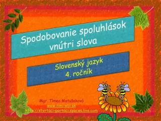 spodobovanie spoluhl sok vn tri slova