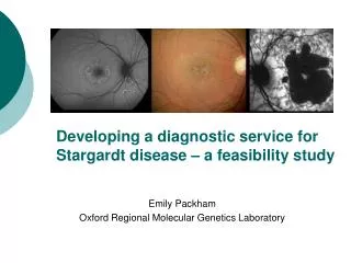 Developing a diagnostic service for Stargardt disease – a feasibility study