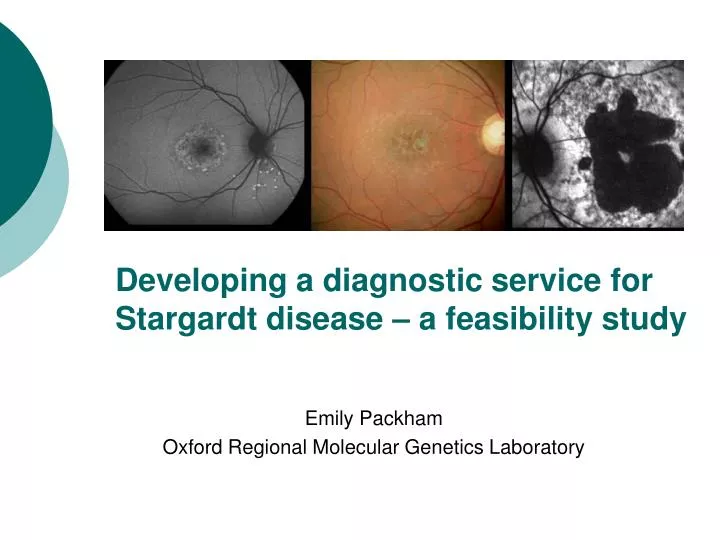 developing a diagnostic service for stargardt disease a feasibility study