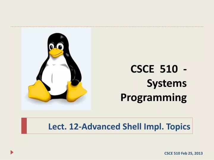 csce 510 systems programming