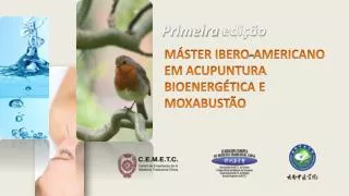 MÁSTER IBERO- A MERICANO EM ACUPUNTURA BIOENERGÉTICA E MOXABUSTÃO
