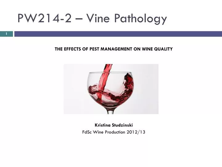 pw214 2 vine pathology
