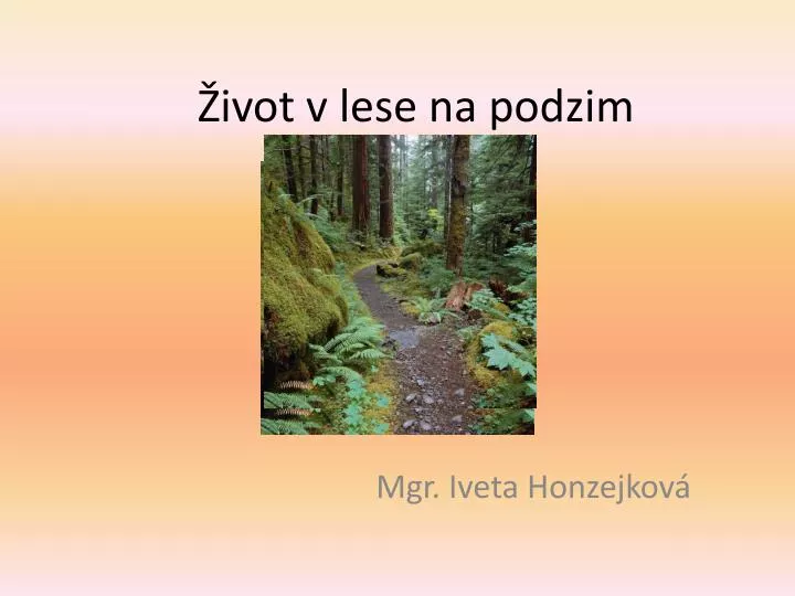 ivot v lese na podzim