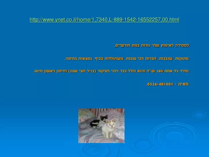 http www ynet co il home 1 7340 l 889 1542 16552257 00 html