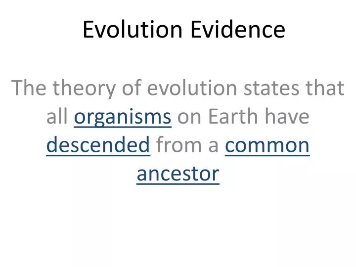evolution evidence