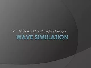 Wave simulation