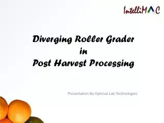 Diverging Roller Grader in Post Harvest Processing