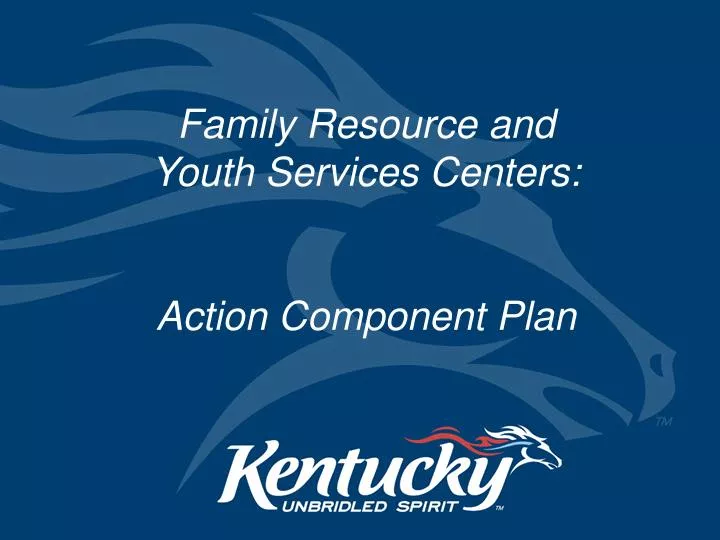 family resource and youth services centers action component plan
