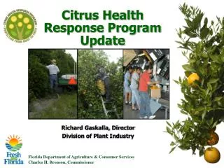 Citrus Health Response Program Update
