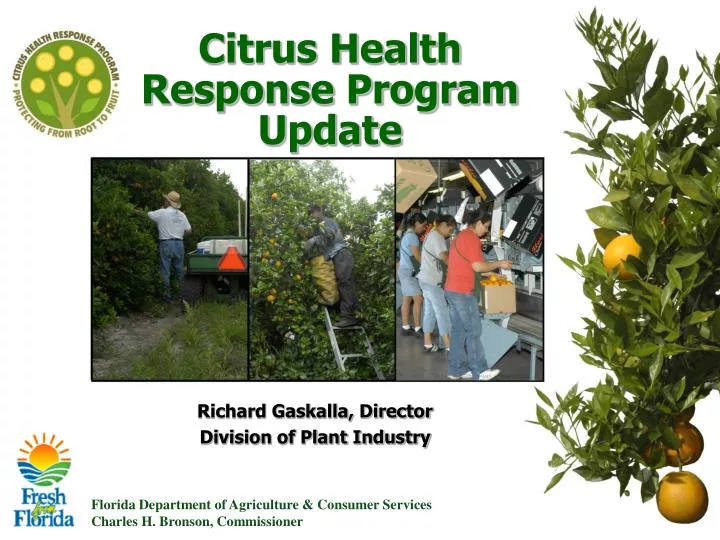 citrus health response program update