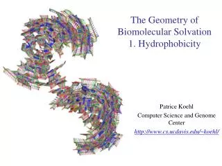 The Geometry of Biomolecular Solvation 1. Hydrophobicity