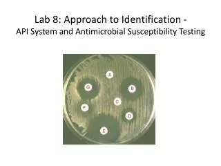 Lab 8: Approach to Identification - API System and Antimicrobial Susceptibility Testing